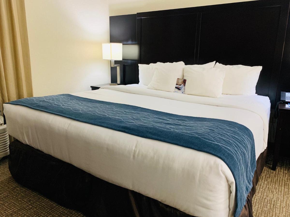 Comfort Inn&Suites Galleria Atlanta Dış mekan fotoğraf