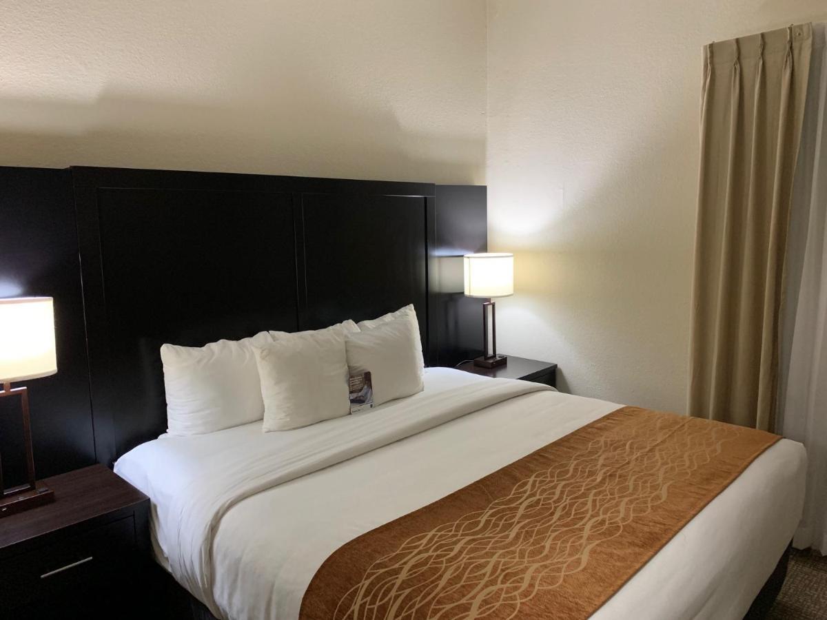 Comfort Inn&Suites Galleria Atlanta Dış mekan fotoğraf
