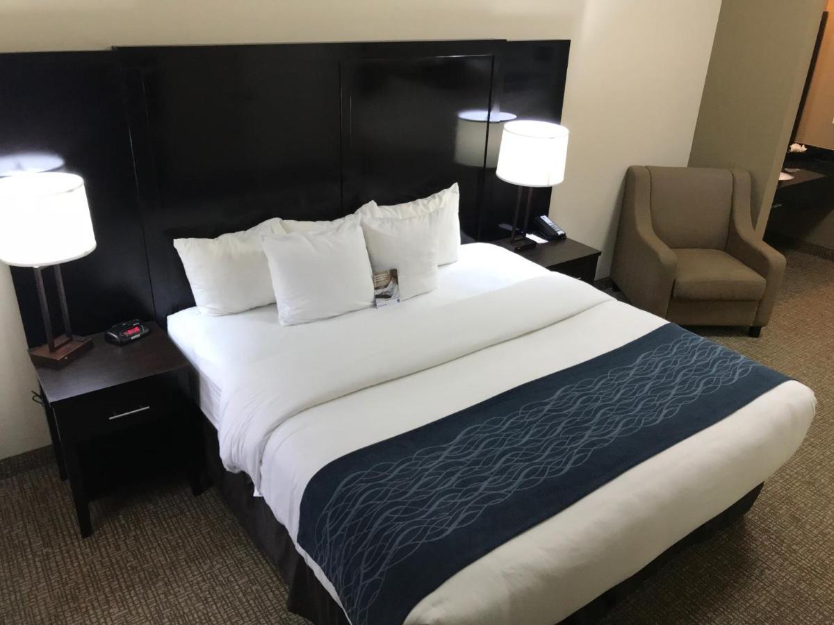 Comfort Inn&Suites Galleria Atlanta Dış mekan fotoğraf